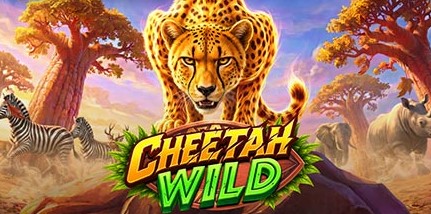 Cheetah Wild — slot Pragmatic Play tema safari e guepardo
